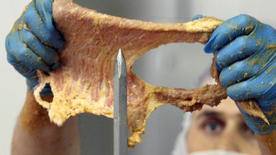 100709gammelfleisch-zeit